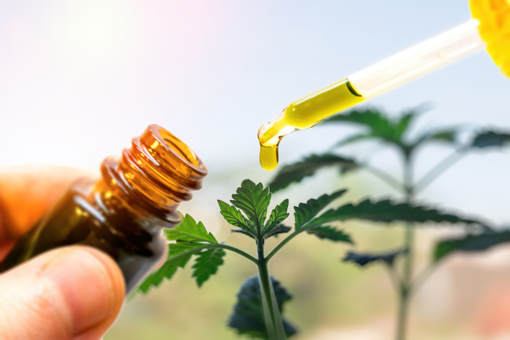 CBD vs THC: What’s Inside Your Hemp Oil?